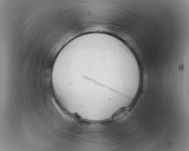 X0000111931233200908241107