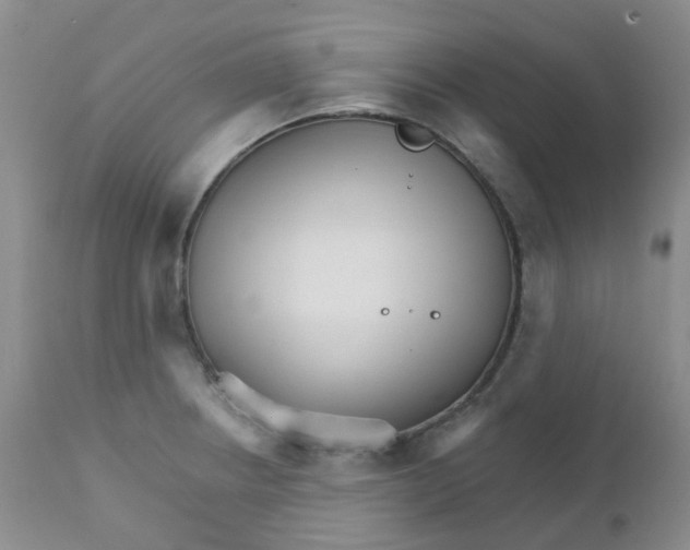 X0000111931234200908241107