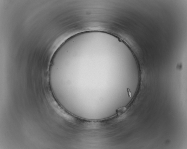 X0000111931236200908241107