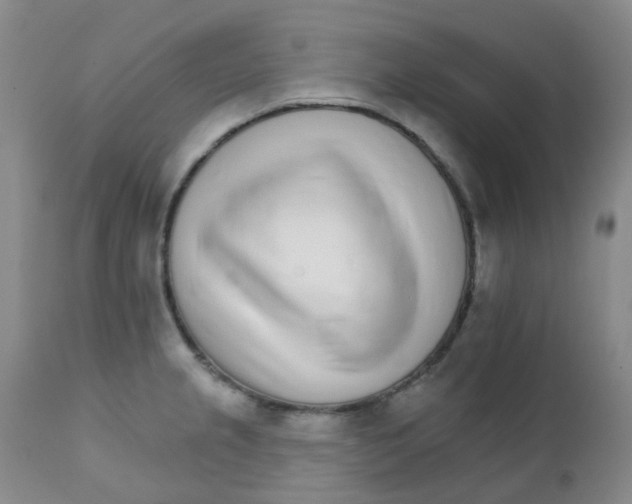 X0000111931237200908241107