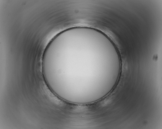 X0000111931238200908241107