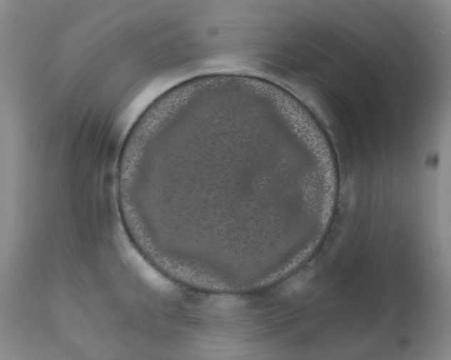 X0000111931239200908241107