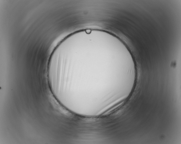 X0000111931240200908241107