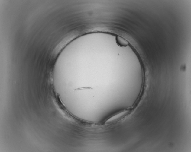 X0000111931241200908241107