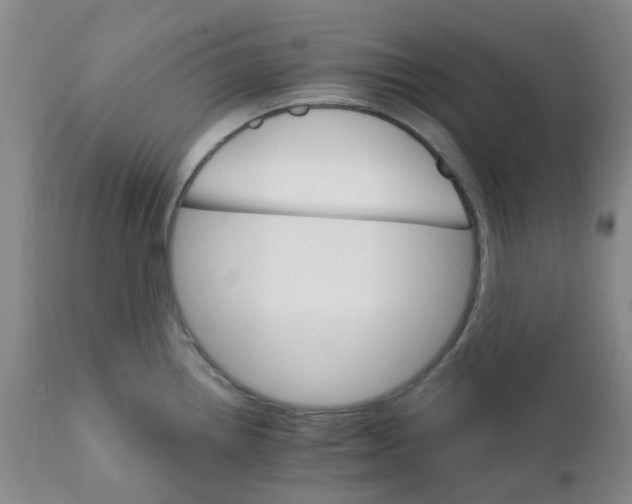 X0000111931242200908241107