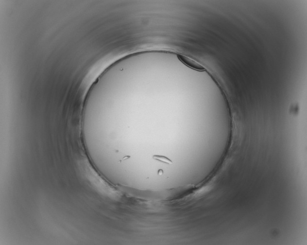 X0000111931244200908241107