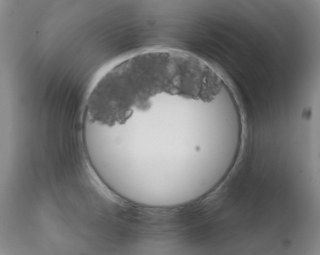 X0000111931246200908241107