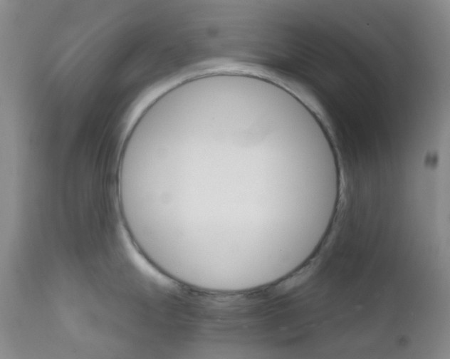 X0000111931247200908241107