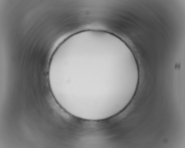 X0000111931248200908241107