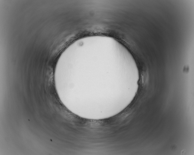 X0000111931251200908241107