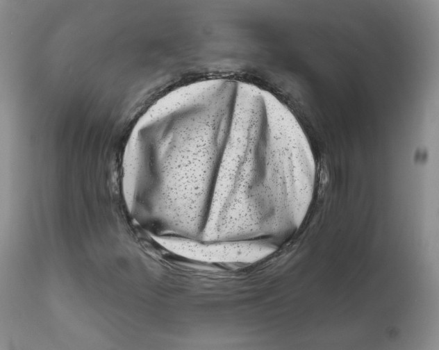 X0000111931252200908241107