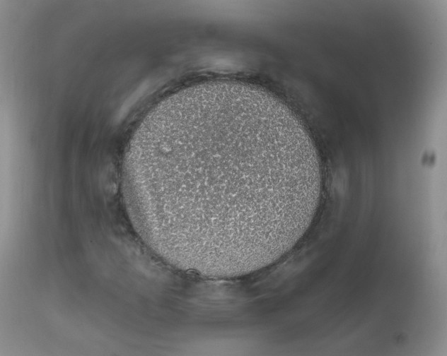 X0000111931253200908241107