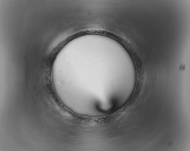 X0000111931255200908241107