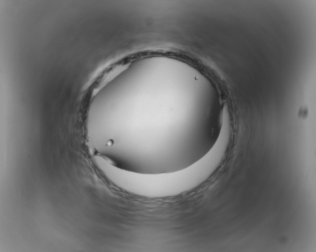 X0000111931256200908241107