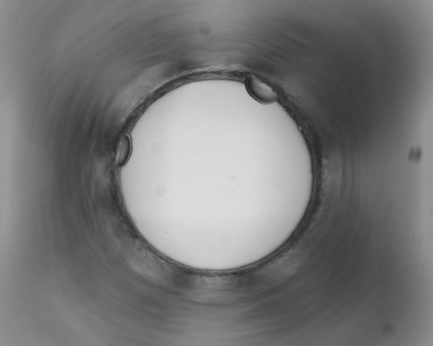 X0000111931257200908241107