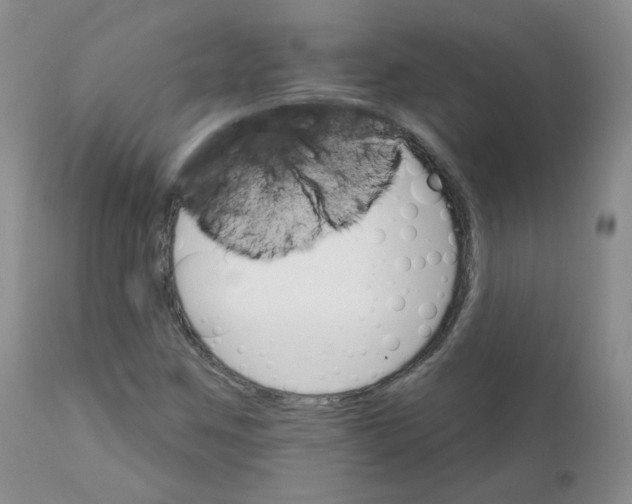 X0000111931259200908241107