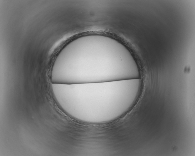 X0000111931262200908241107