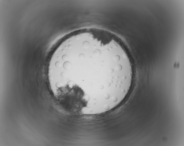 X0000111931263200908241107