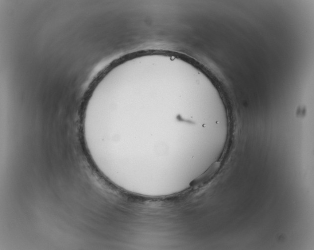 X0000111931264200908241107