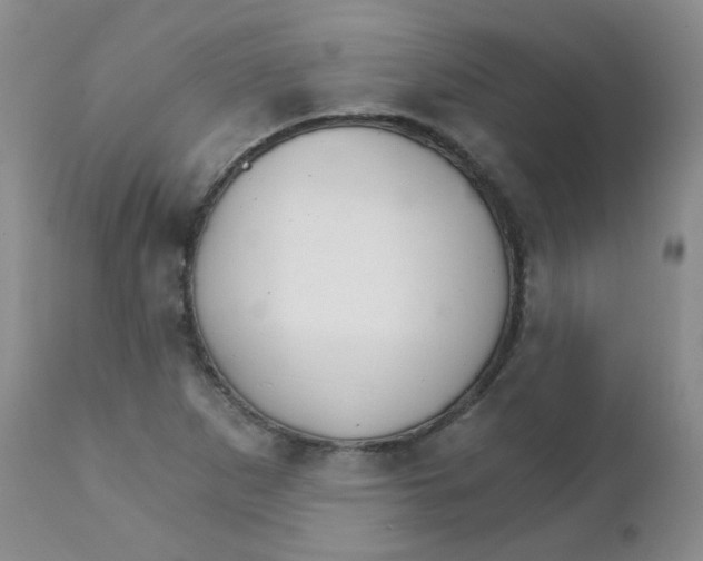 X0000111931265200908241107