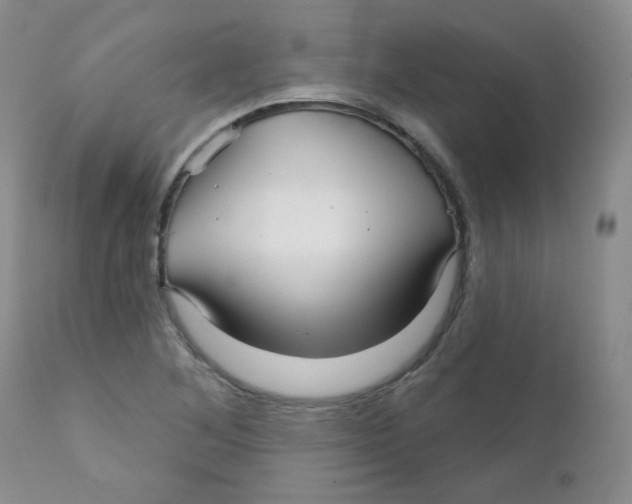 X0000111931268200908241107