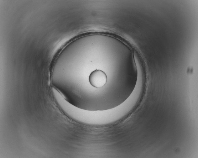 X0000111931269200908241107