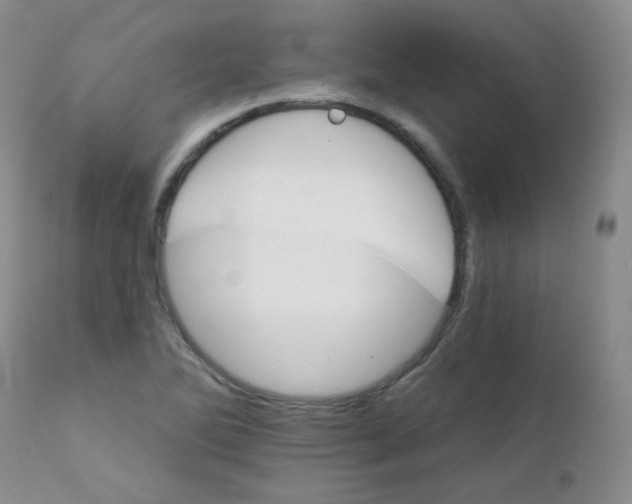 X0000111931270200908241106