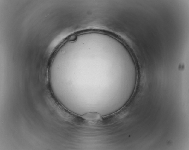 X0000111931271200908241106