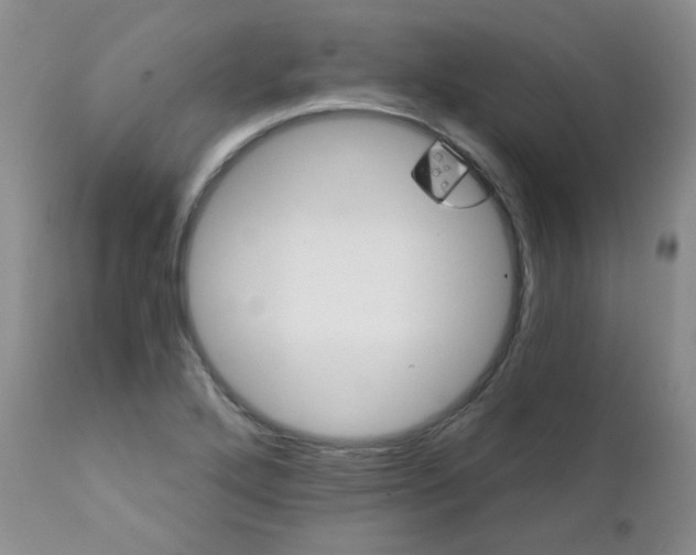 X0000111931272200908241106