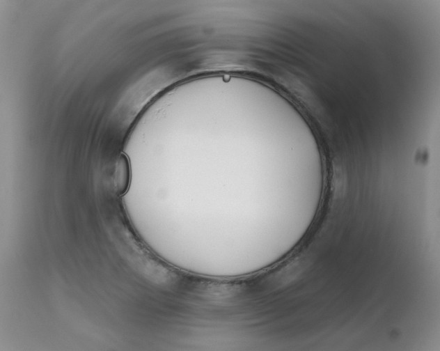 X0000111931273200908241106