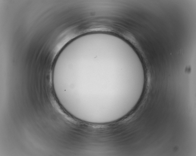 X0000111931274200908241106