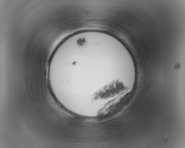 X0000111931275200908241106