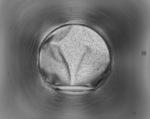 X0000111931276200908241106