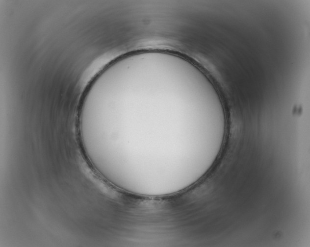 X0000111931277200908241106