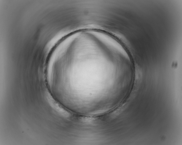 X0000111931278200908241106