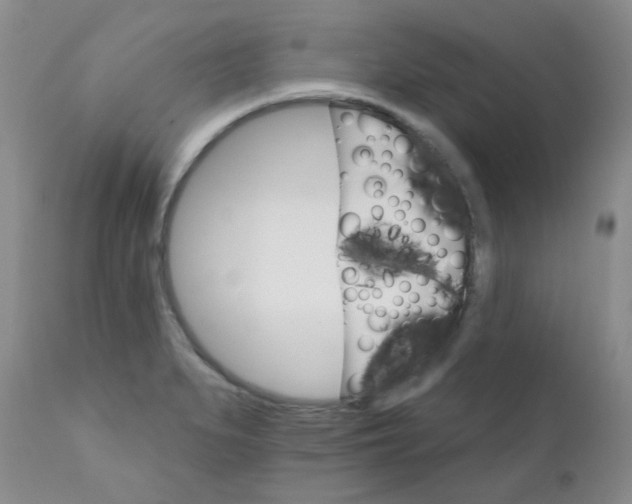 X0000111931279200908241106