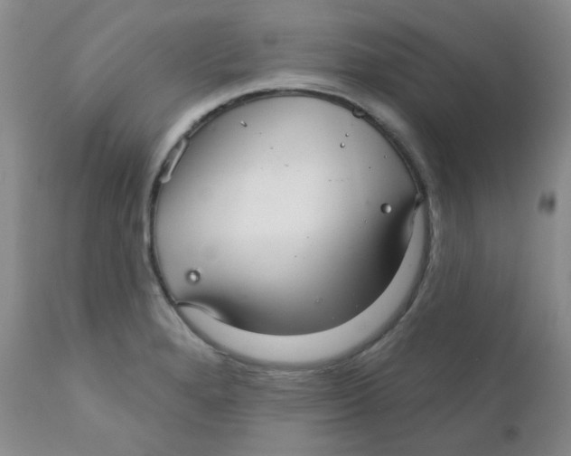 X0000111931280200908241106