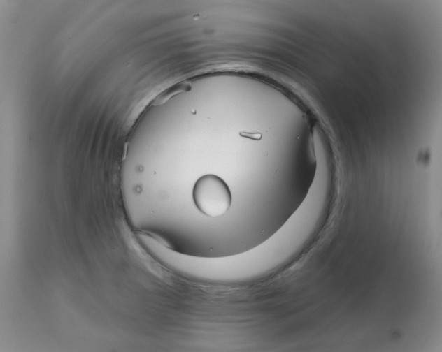 X0000111931281200908241106