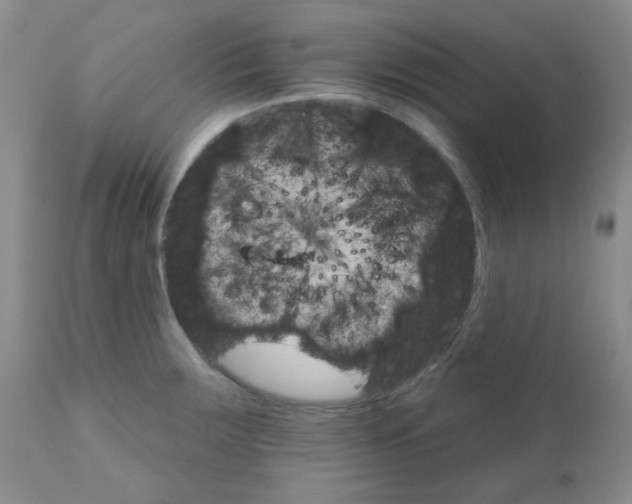 X0000111931283200908241106