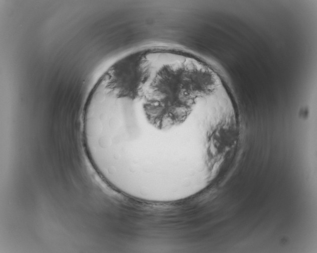 X0000111931287200908241106