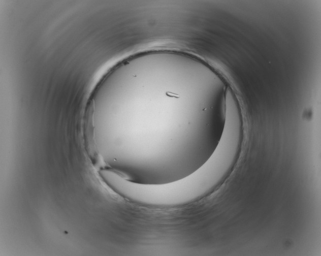 X0000111931288200908241106