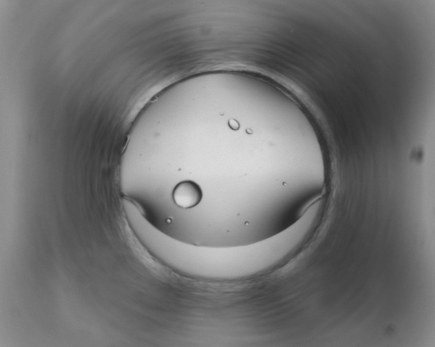 X0000111931289200908241106