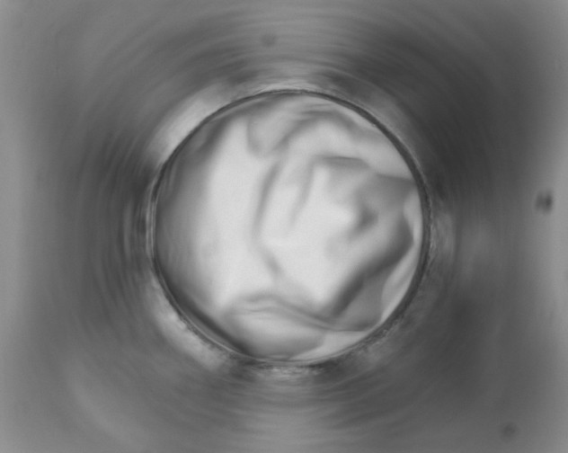 X0000111931290200908241106