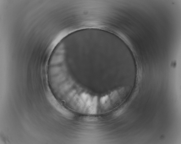 X0000111931291200908241106