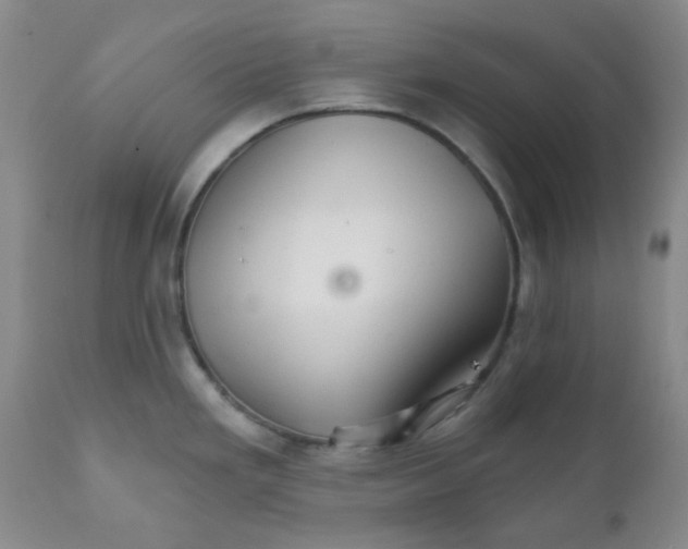 X0000111931293200908241106