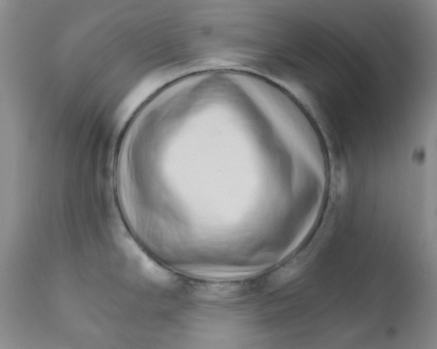 X0000111931294200908241106