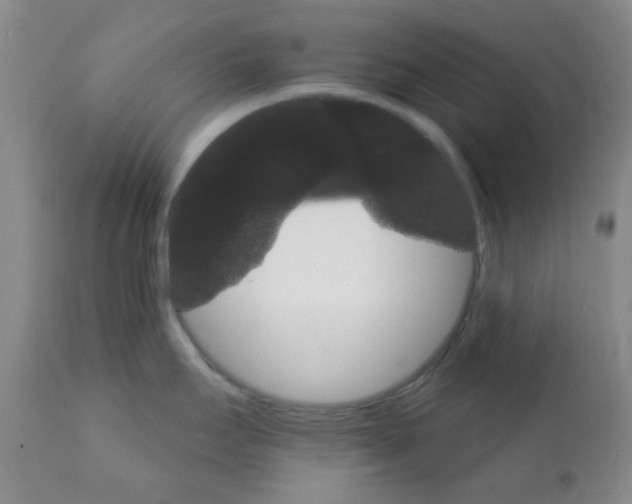 X0000111931295200908241106