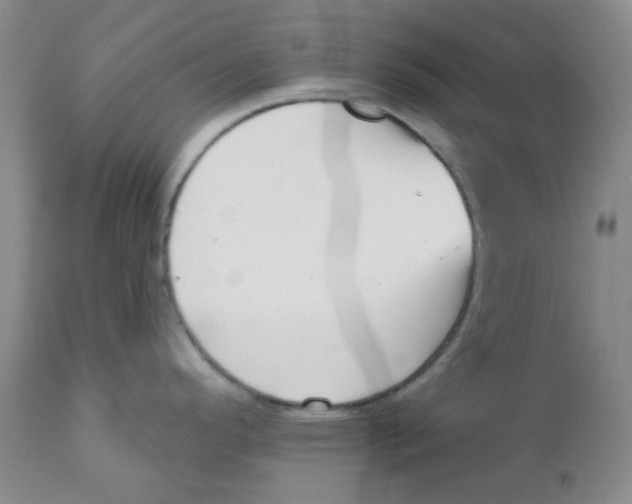 X0000111931296200908241106