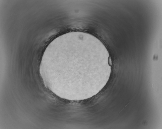 X0000111931297200908241105