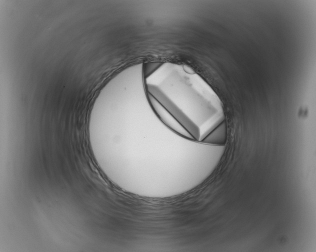 X0000111931298200908241105